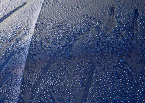 Protection - Infinity Wax