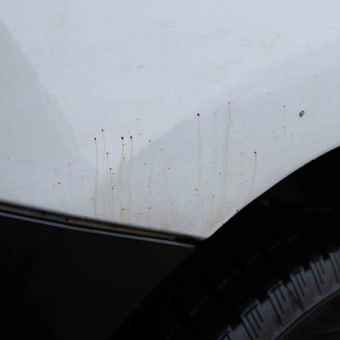 13 Piece Bargain Box