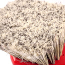 Wheel and Body Brush